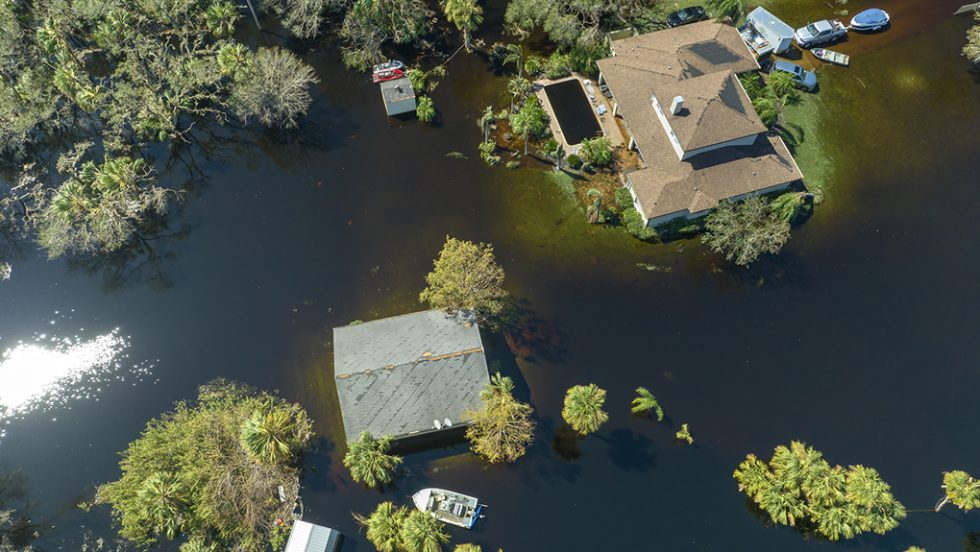 fysikes katastrofes florida